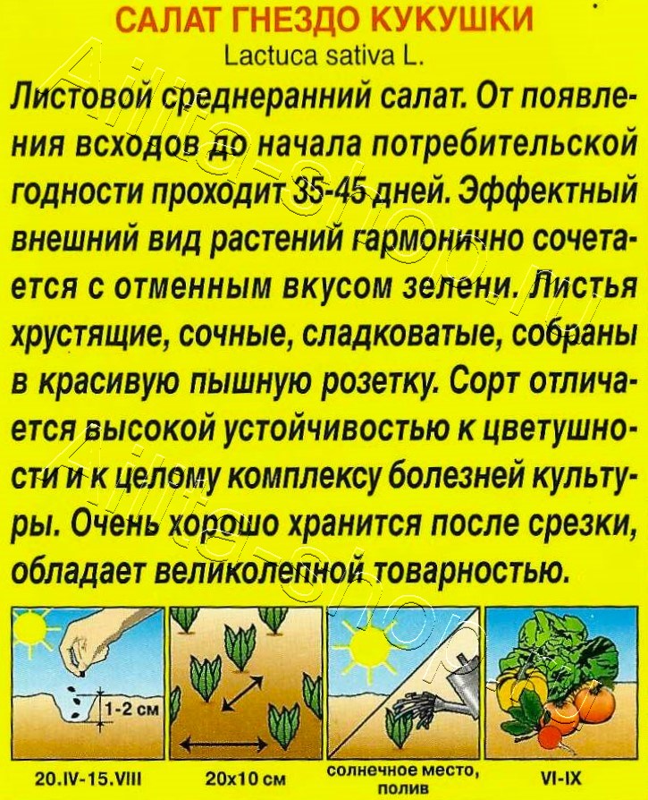 Салат Гнездо кукушки 0,1г