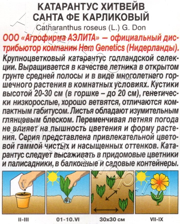 Катарантус Хитвейв санта фе карликовый 5шт