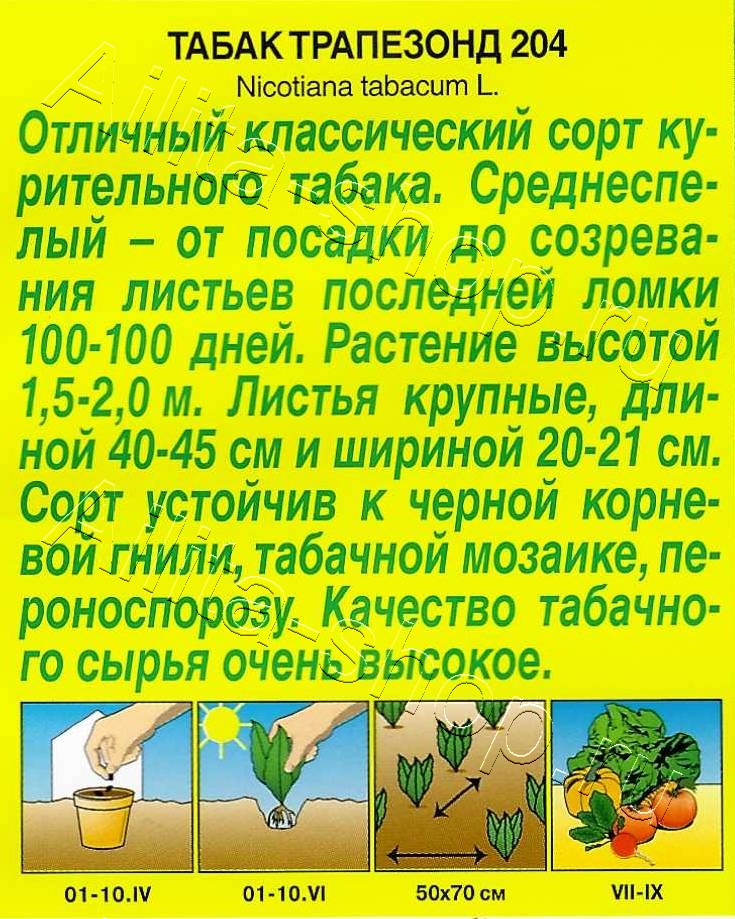 Табак Трапезонд 204 0,02г