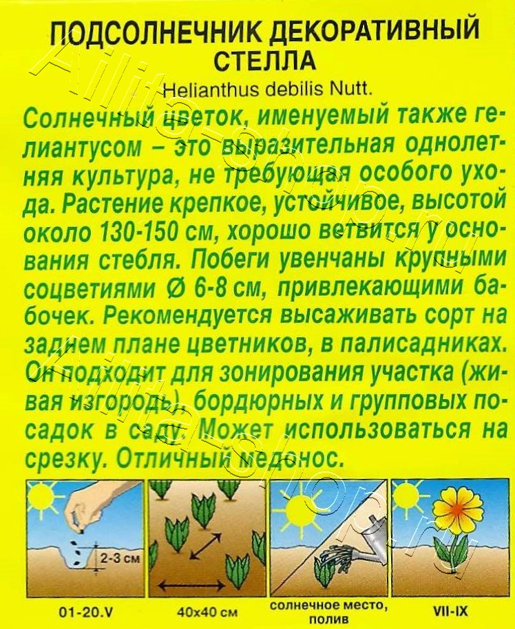 Подсолнечник декоративный Стелла 0,1г