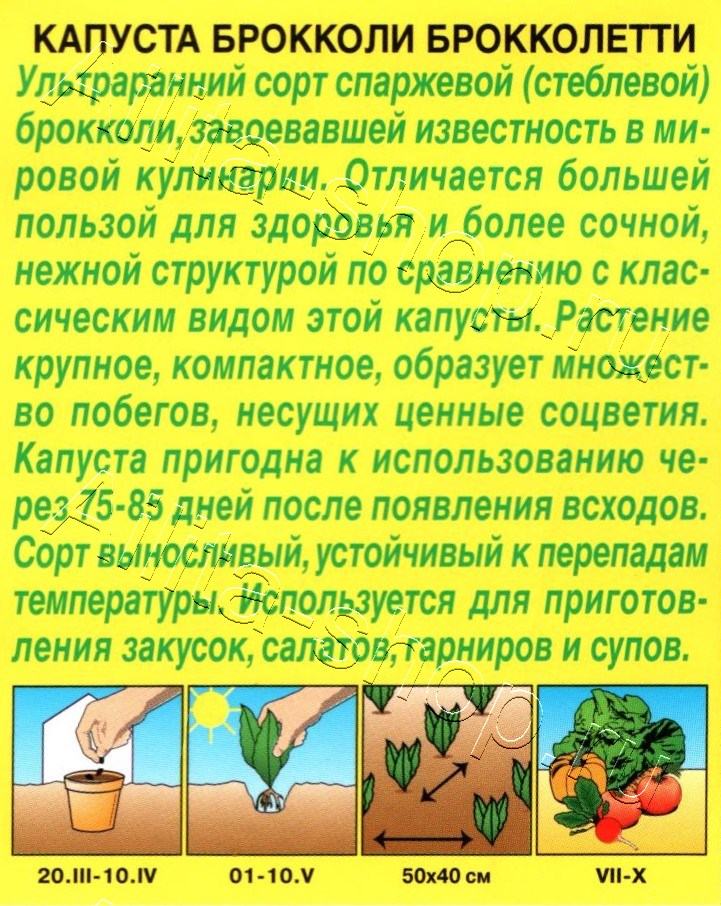 Капуста брокколи Брокколетти 0,3г