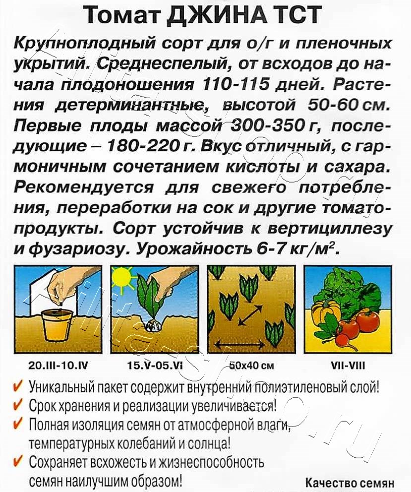 Томат Джина ТСТ 20шт