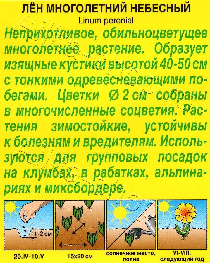 Лен многолетний Небесный 0,5г