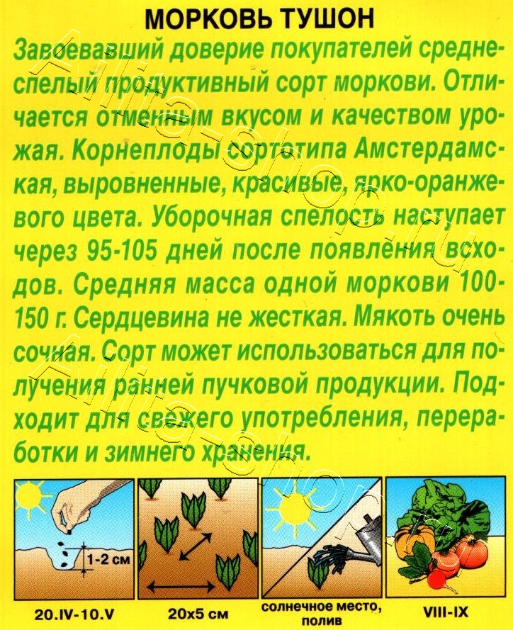 Морковь Тушон 2г