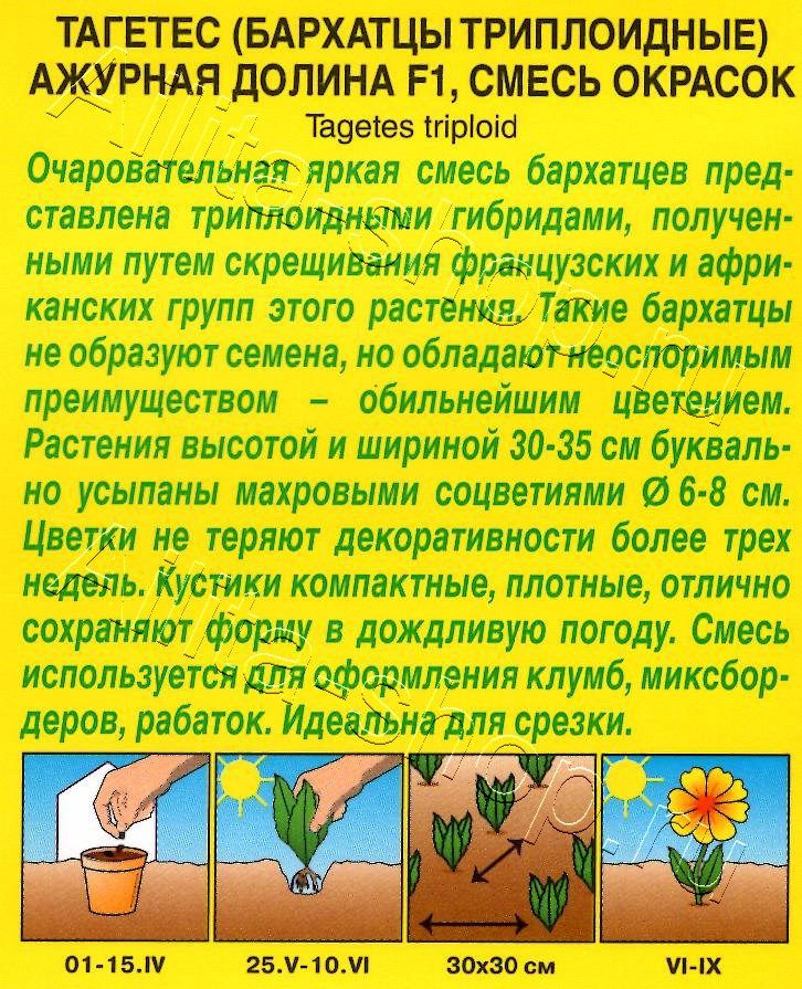 Бархатцы Ажурная долина F1, смесь окрасок 7шт