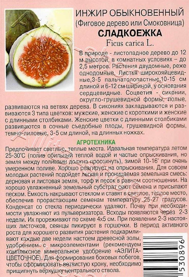 Инжир Сладкоежка 0,01г