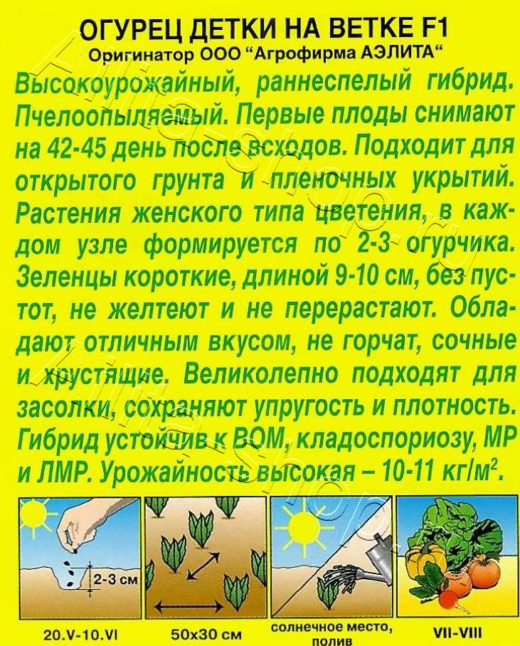 Огурец Детки на ветке F1 10шт