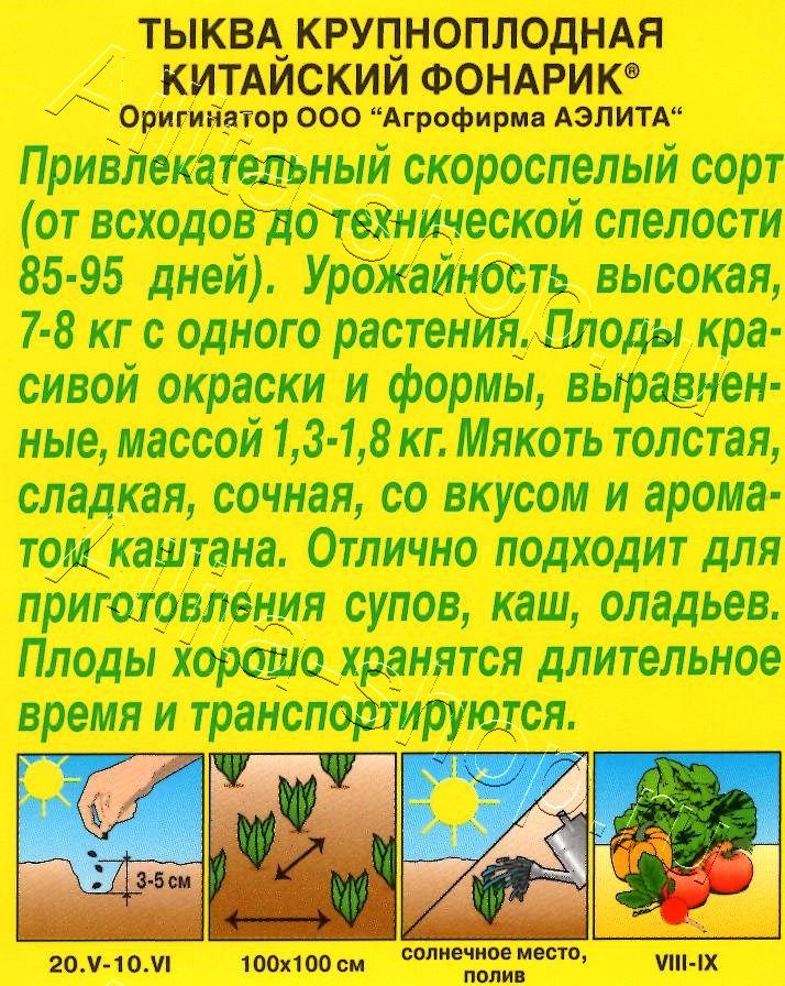 Тыква крупноплодная Китайский фонарик 1г