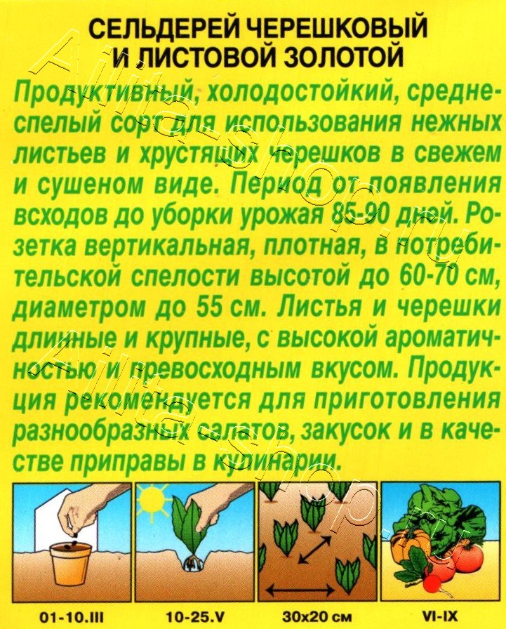 Сельдерей черешковый Золотой 0,5г