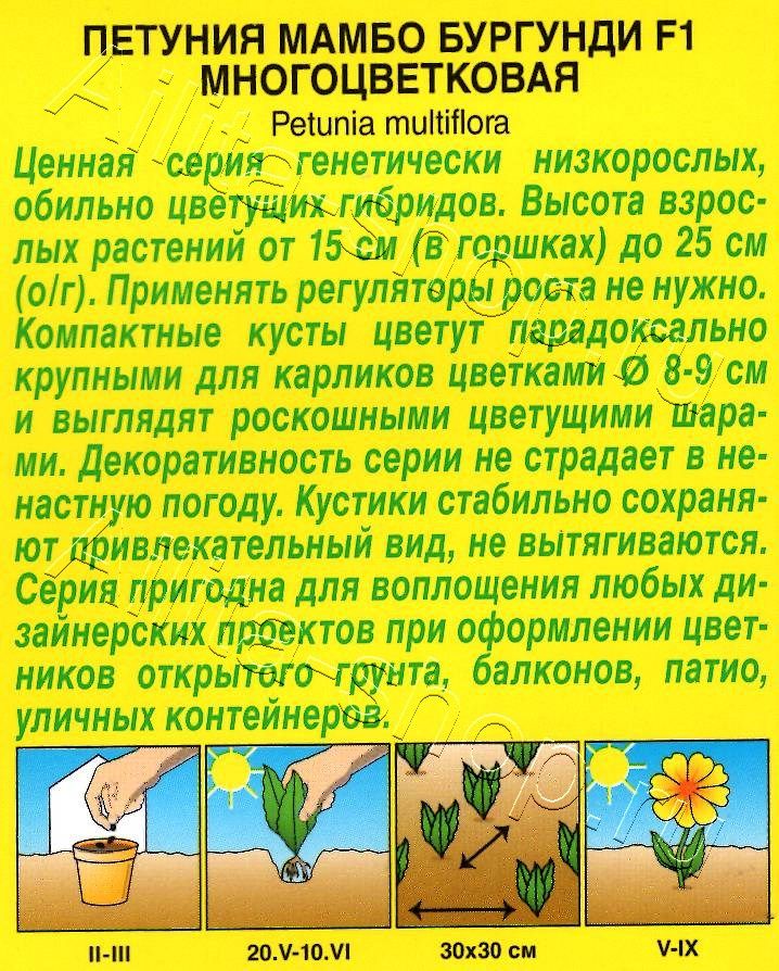 Петуния Мамбо F1 бургунди многоцветковая 7шт