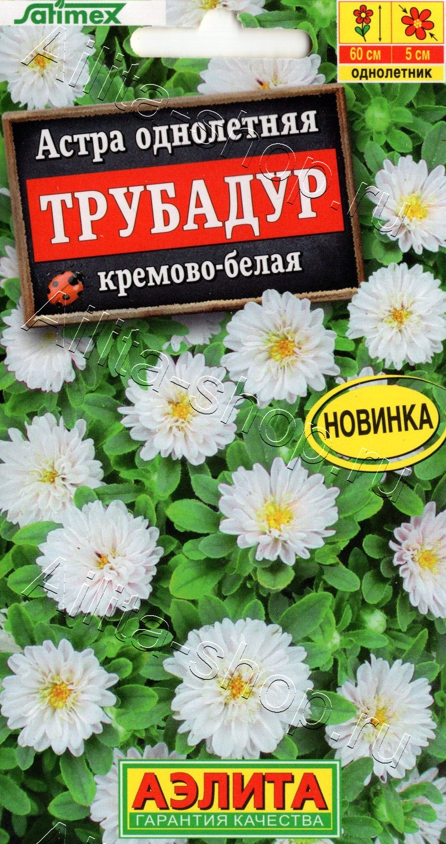 Астра Трубадур кремово-белая 20шт