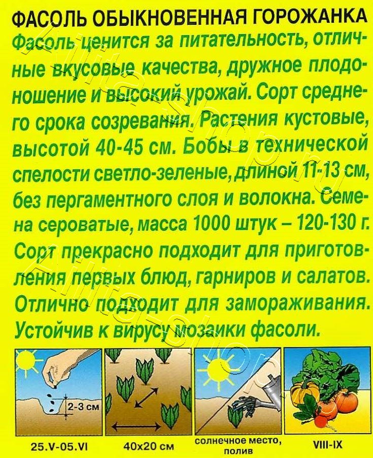 Фасоль обыкновенная Горожанка 5г