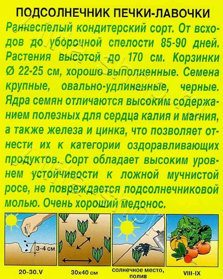 Подсолнечник Печки-лавочки 5г