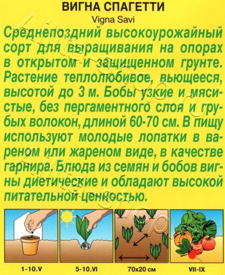 Вигна Спагетти 5г