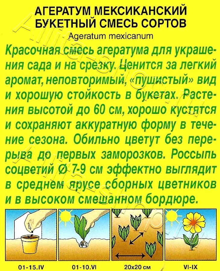 Агератум Букетный, смесь окрасок 0,02г