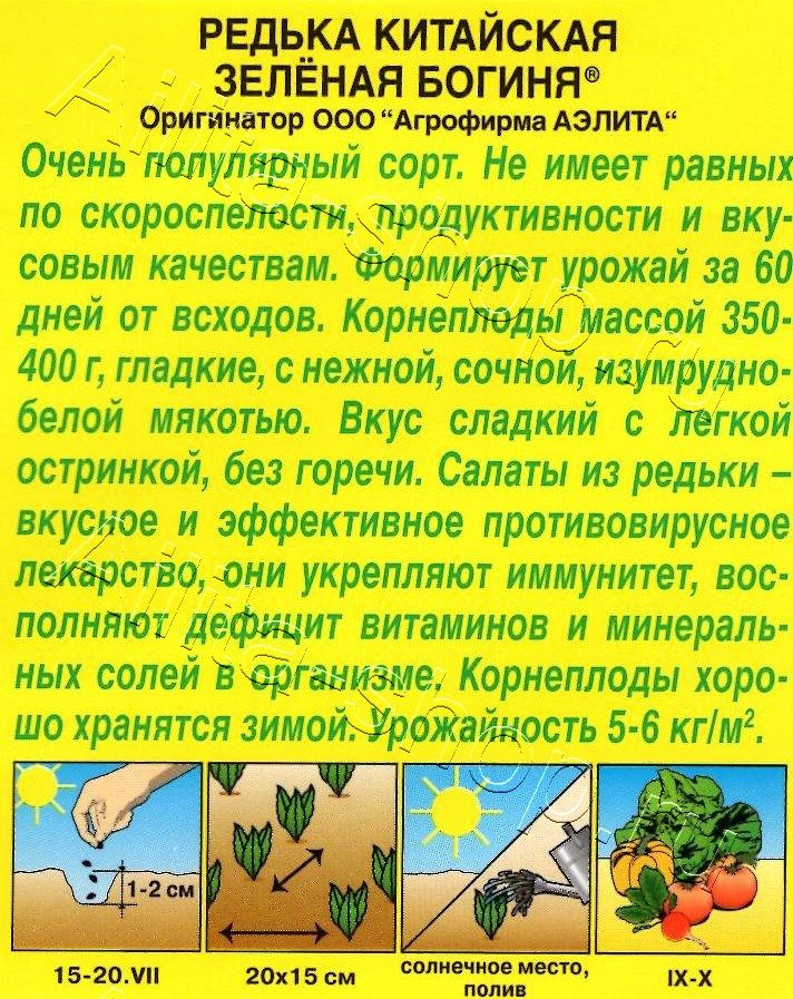 Редька китайская Зеленая богиня 1г