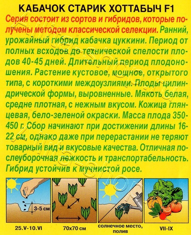 Кабачок цуккини Старик Хоттабыч F1 5шт