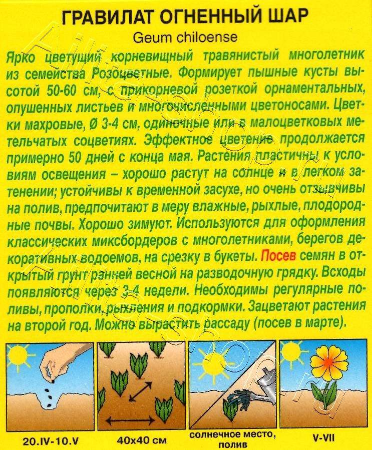 Гравилат Огненный шар 0,1г