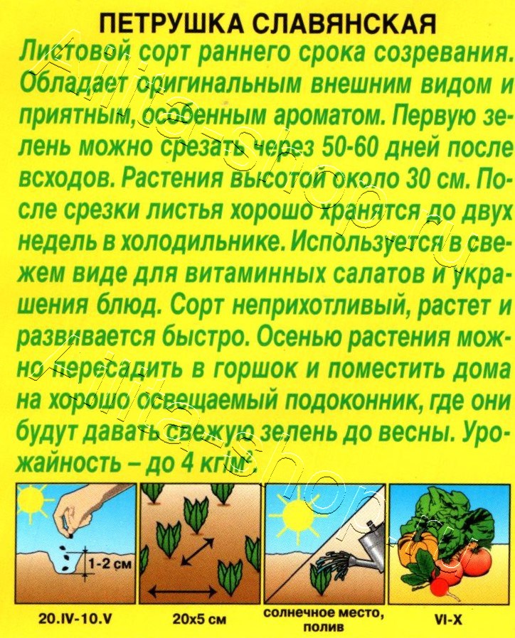 Петрушка кудрявая Славянская 2г