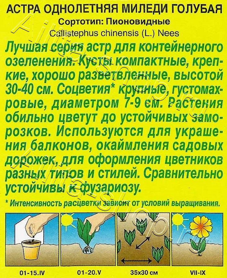Астра Миледи голубая 0,2г
