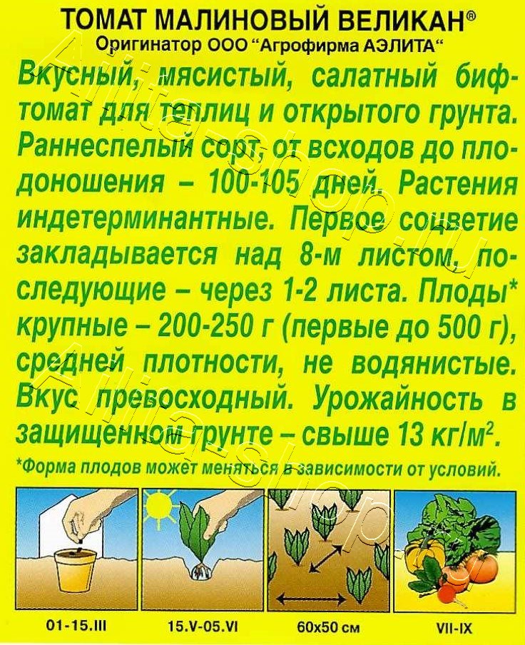 Томат Малиновый великан 20шт