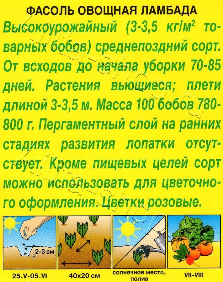 Фасоль овощная Ламбада 5г