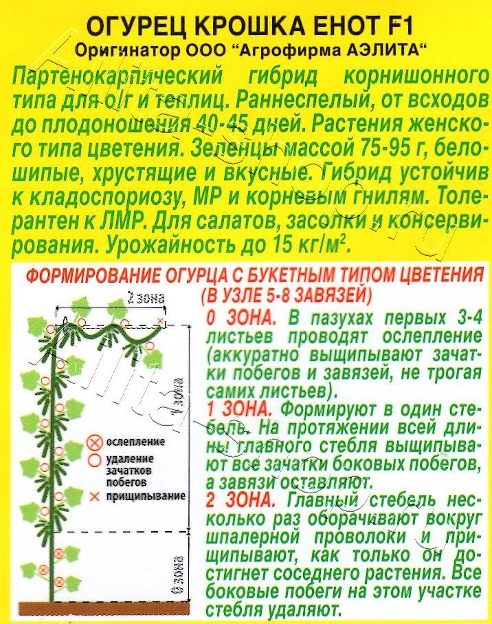 Огурец Крошка енот F1 10шт