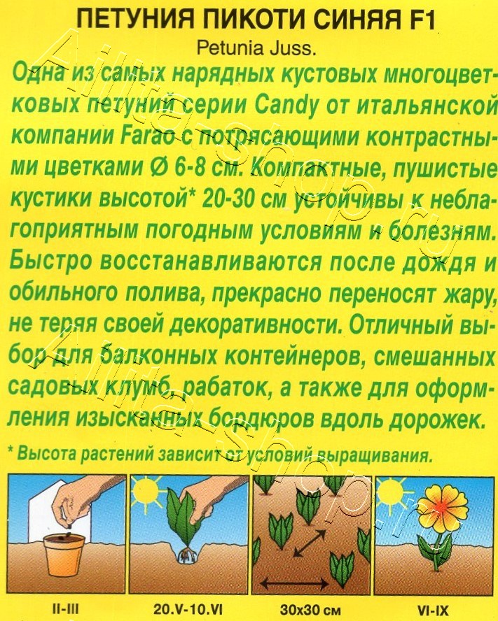 Петуния Пикоти синяя F1 многоцветковая 7шт