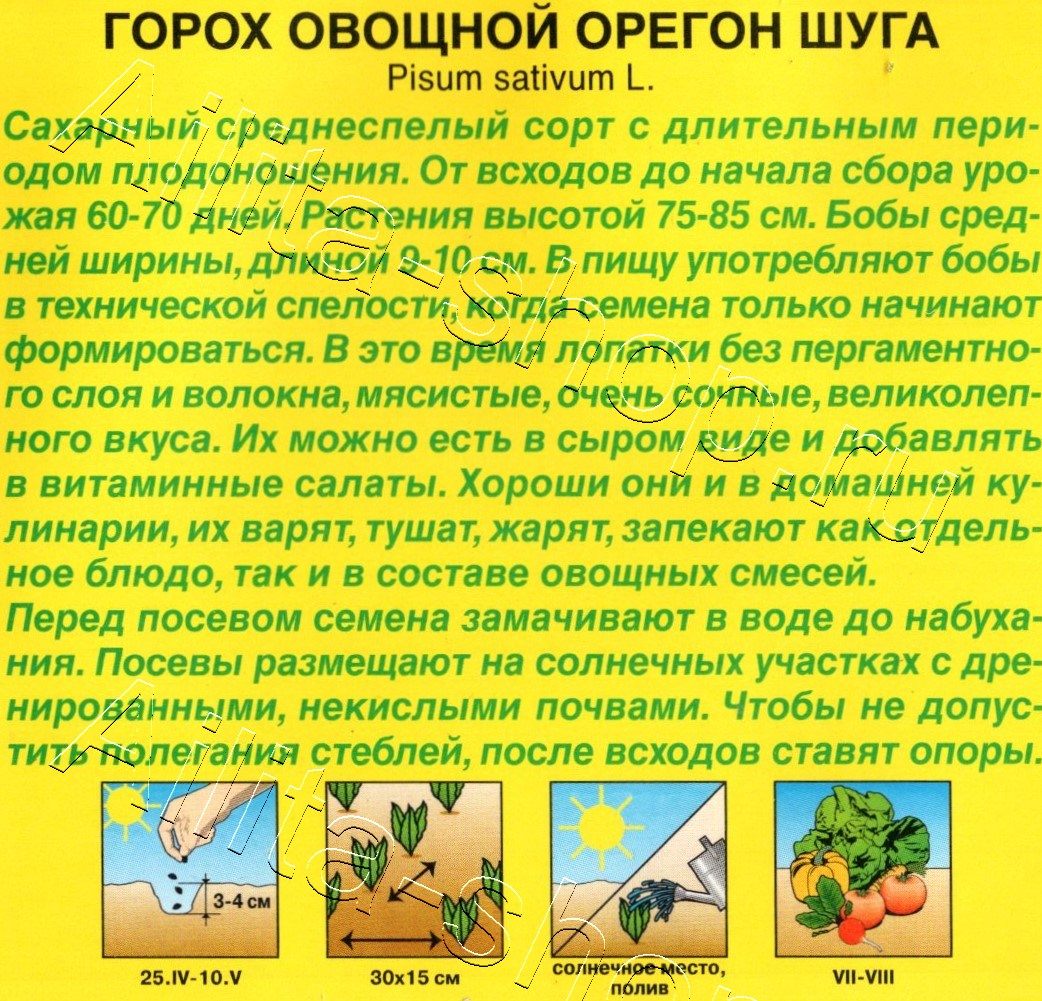 Горох овощной Орегон шуга 25г