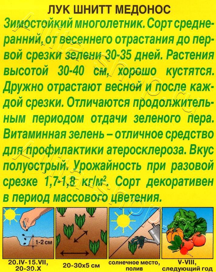 Лук шнитт Медонос 0,5г