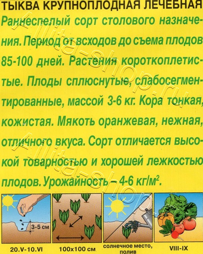 Тыква крупноплодная Лечебная 2г