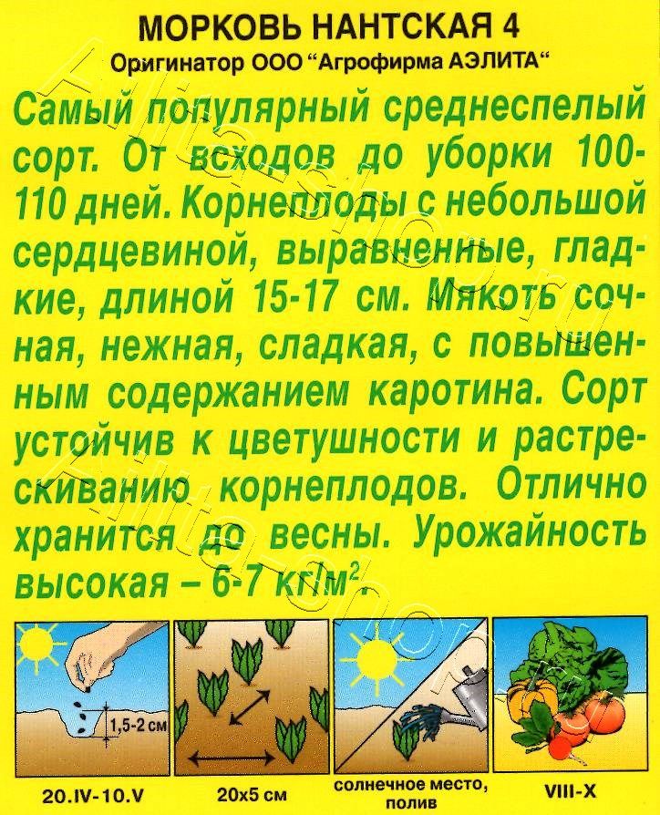 Морковь Нантская 4 2г