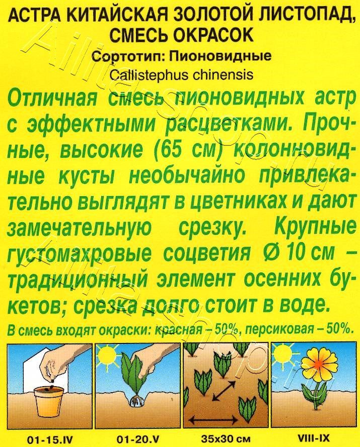 Астра Золотой листопад, смесь,окрасок 0,2г