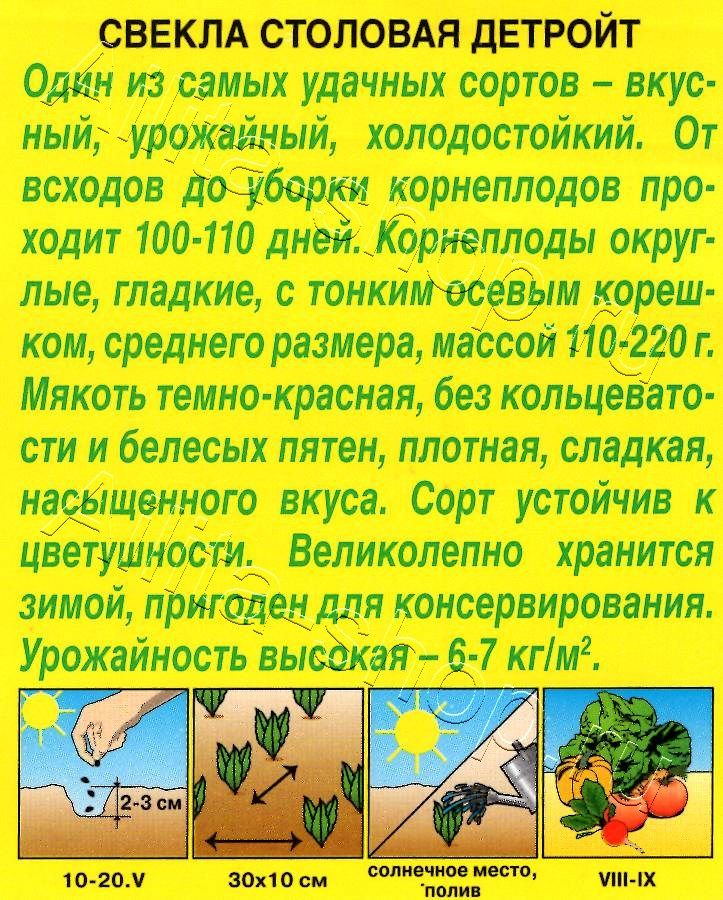 Свекла столовая Детройт 3г