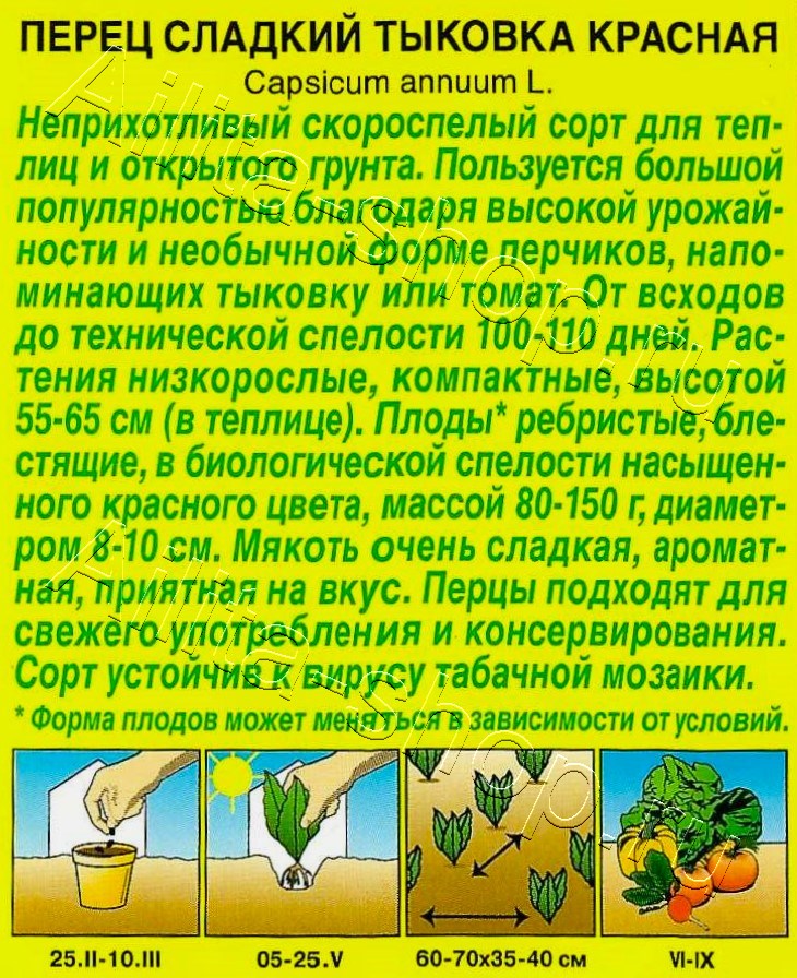 Перец сладкий Тыковка красная 20шт