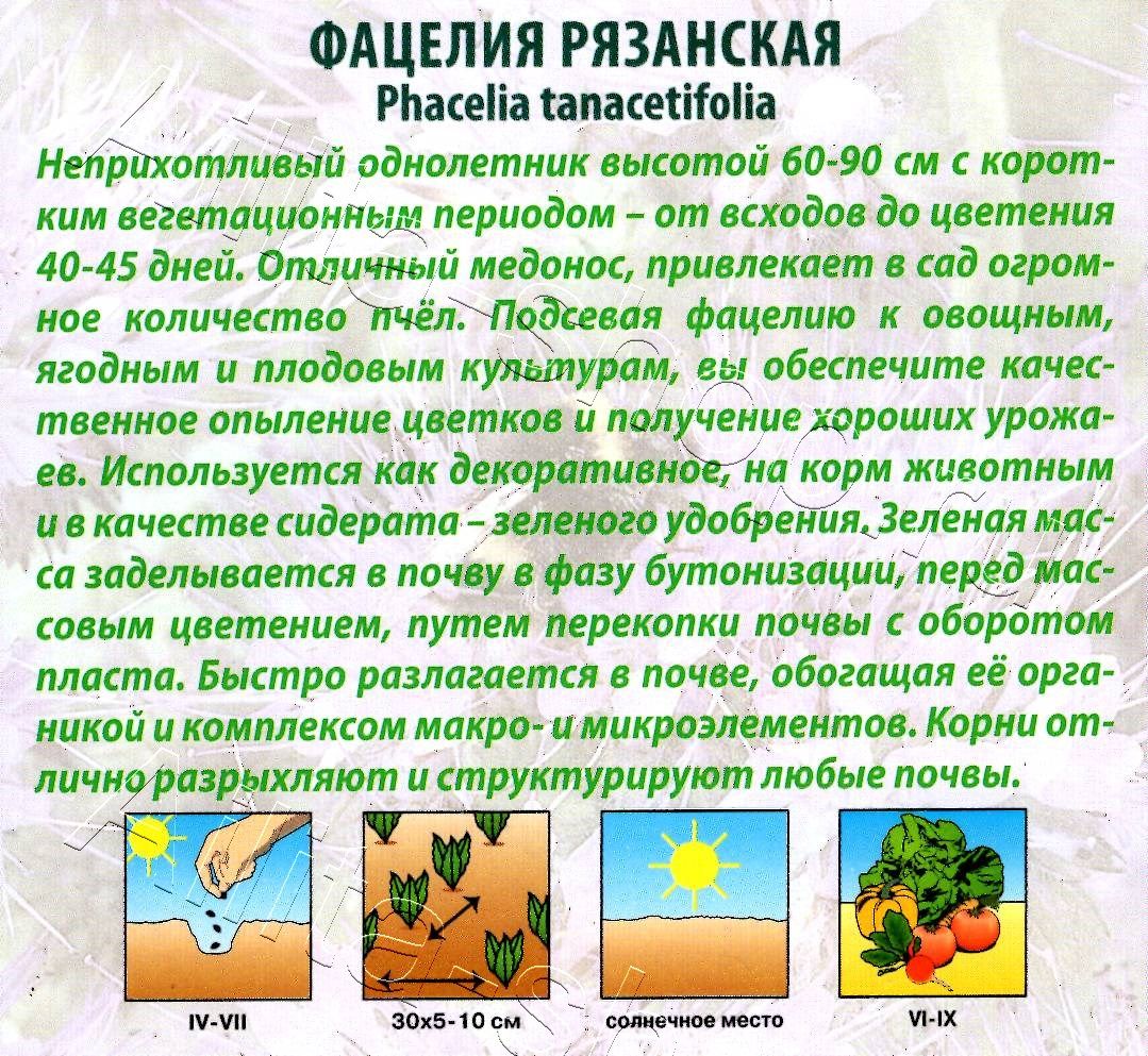 Фацелия рязанская 20г