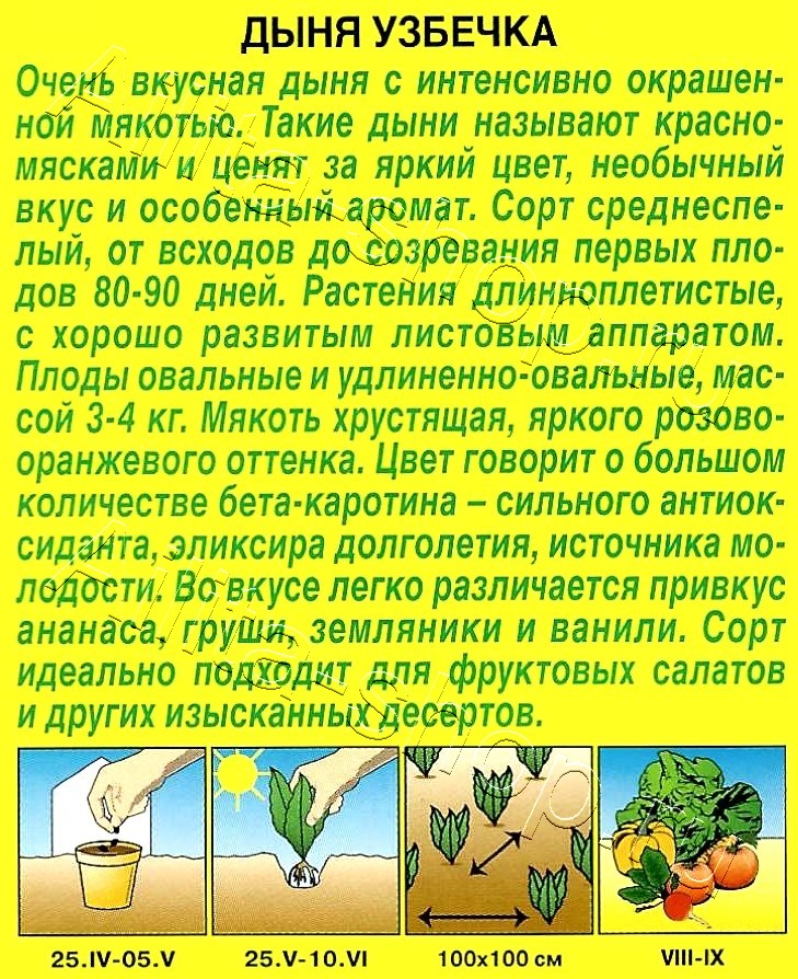 Дыня Узбечка 1г