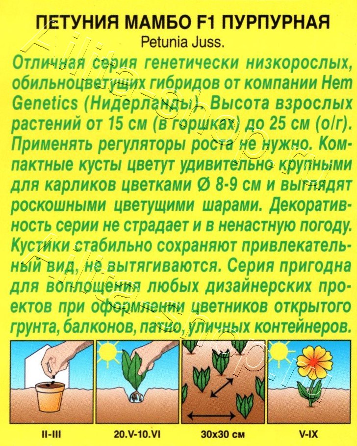 Петуния Мамбо F1 пурпурная многоцветковая 7шт