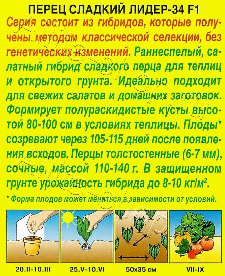 Перец сладкий Лидер-34 F1 20шт