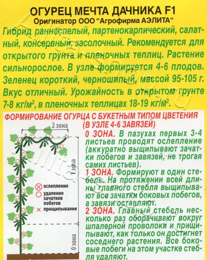 Огурец Мечта дачника F1 10шт