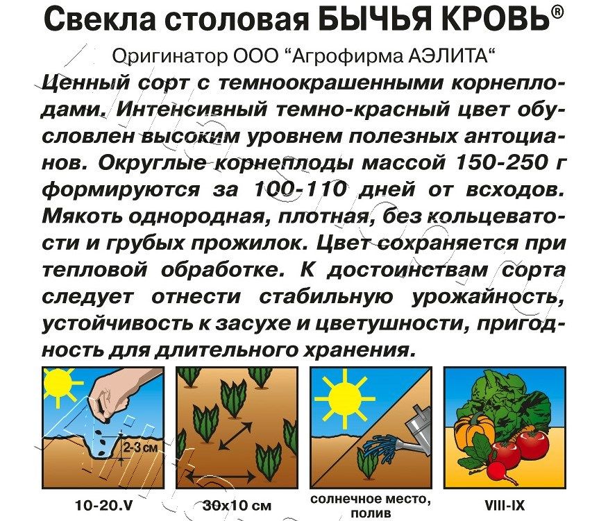 Свекла столовая Бычья кровь 2г