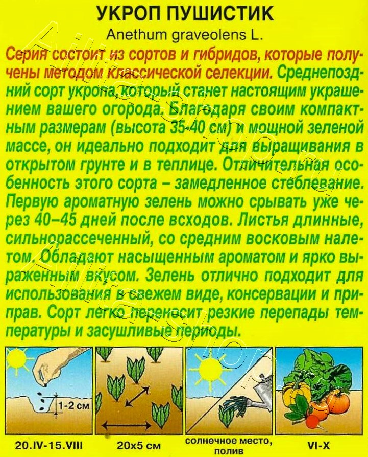 Укроп Пушистик 2г