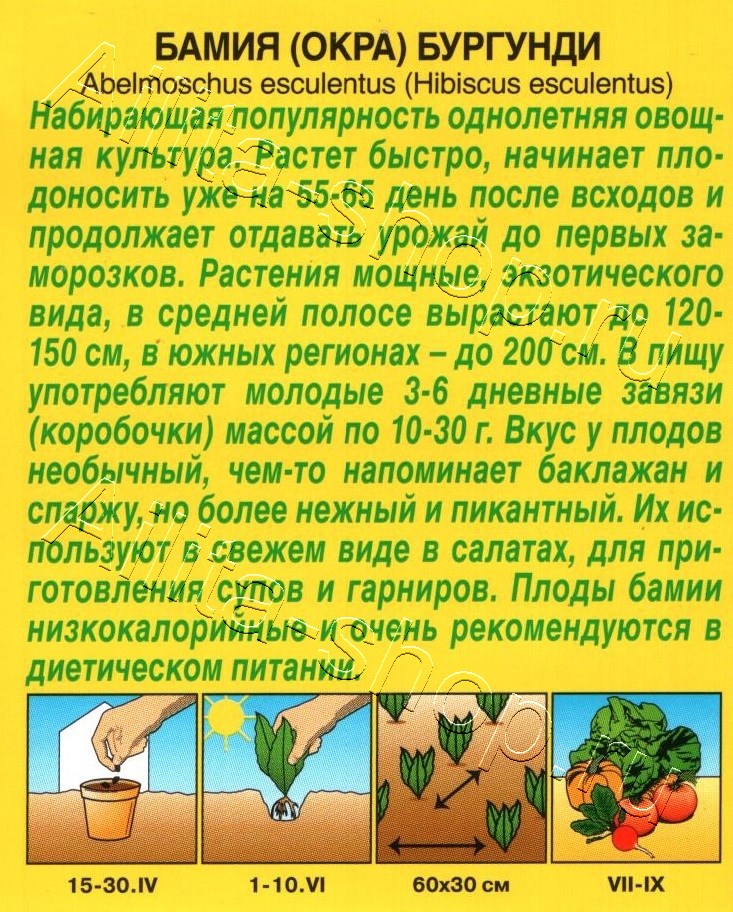 Бамия Бургунди 8шт