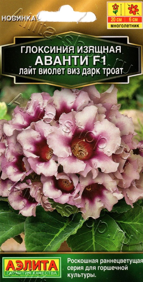 Глоксиния Аванти F1 лайт виолет виз дарк троат 5шт
