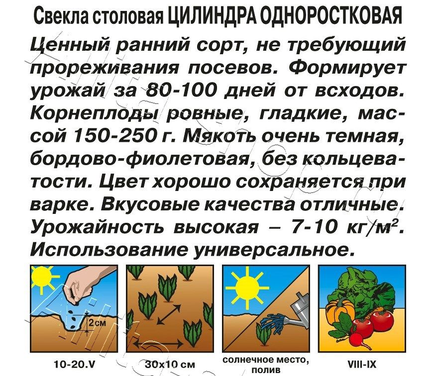 Свекла столовая Цилиндра одноростковая 3г
