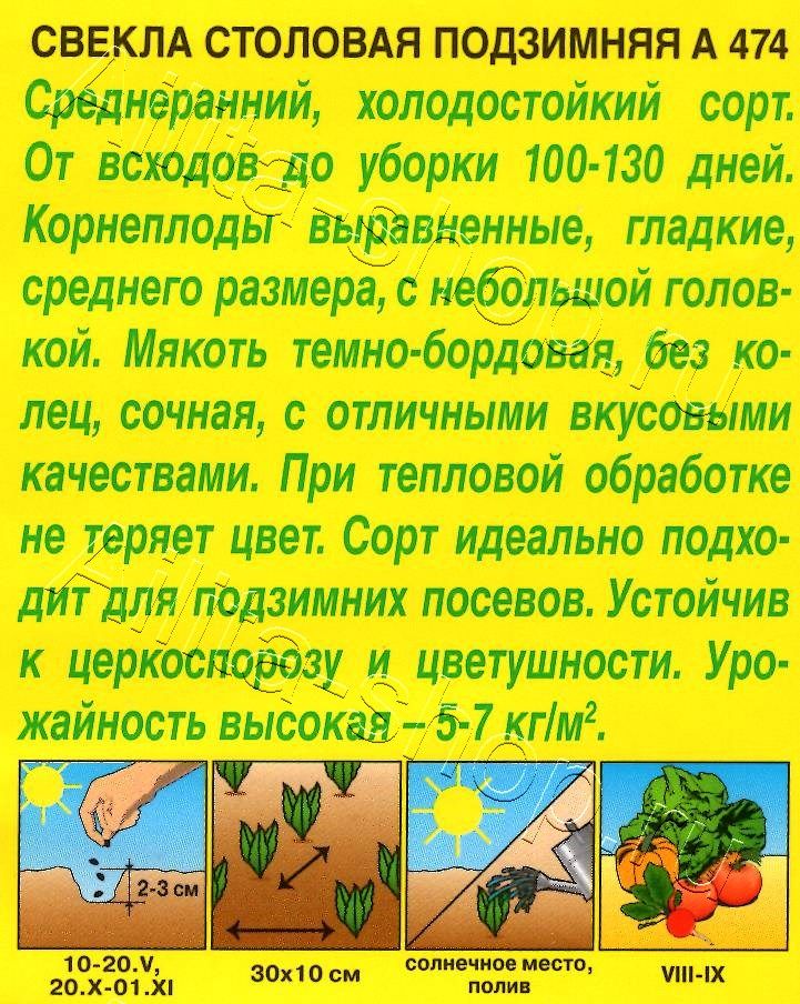 Свекла столовая Подзимняя А 474 3г