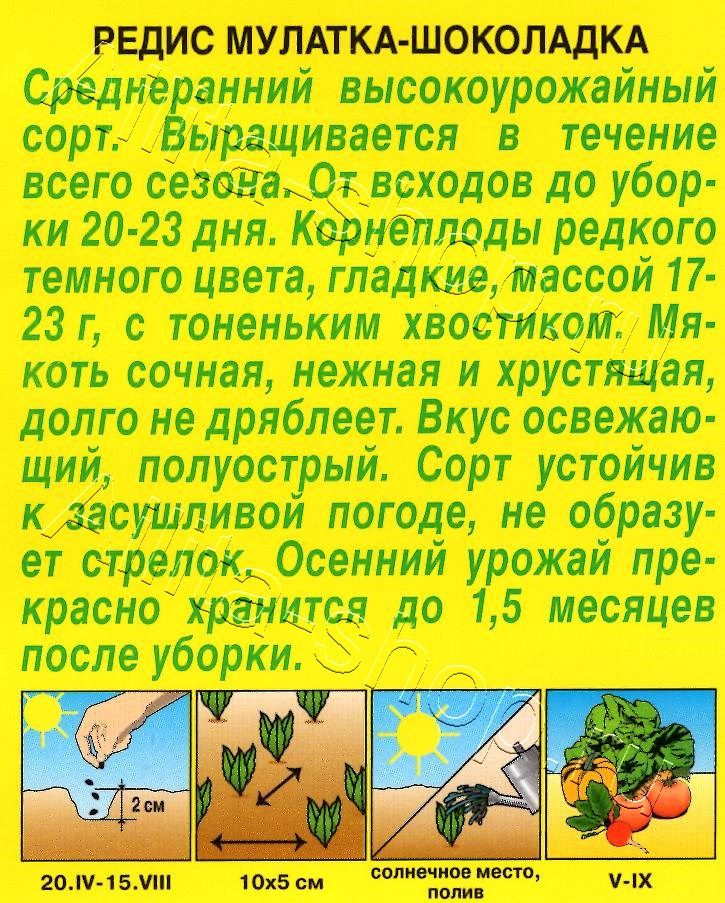 Редис Мулатка-шоколадка 2г