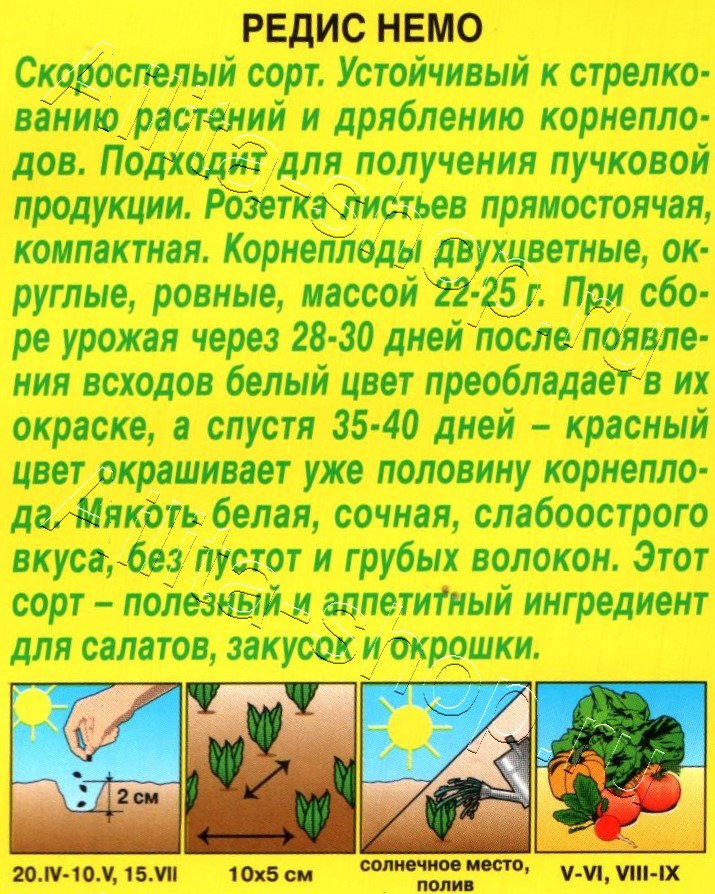 Редис Немо 1г