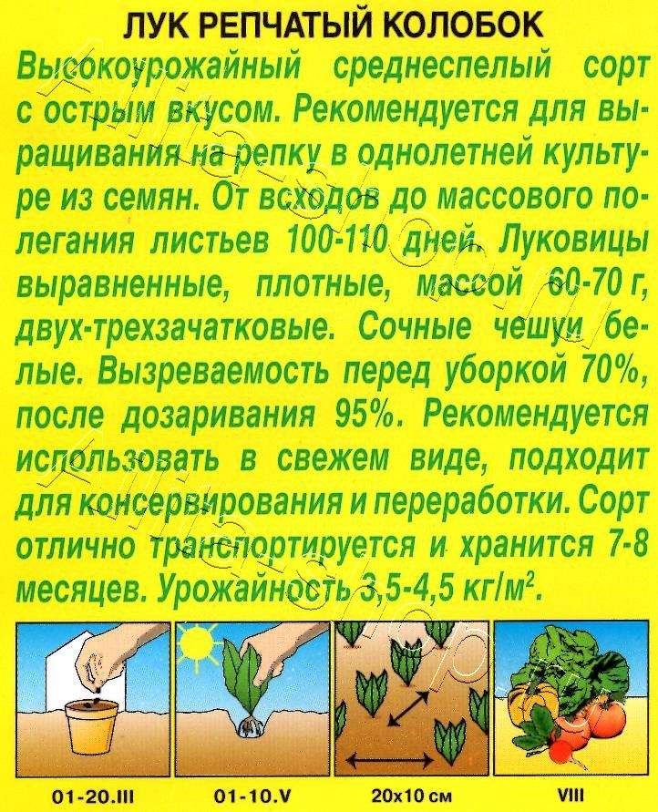 Лук репчатый Колобок 0,5г