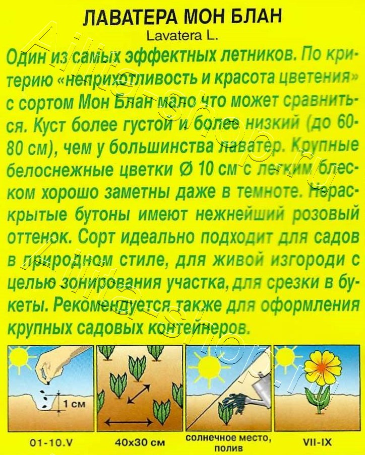 Лаватера Мон Блан 0,3г